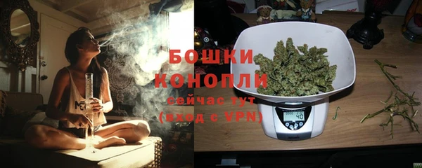 прущие грибы Белокуриха