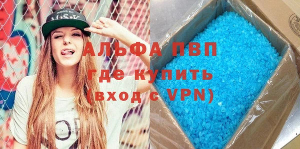 прущие грибы Белокуриха