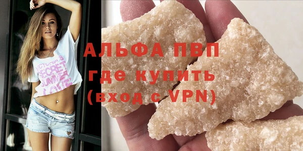 прущие грибы Белокуриха