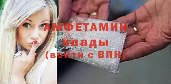 прущие грибы Белокуриха